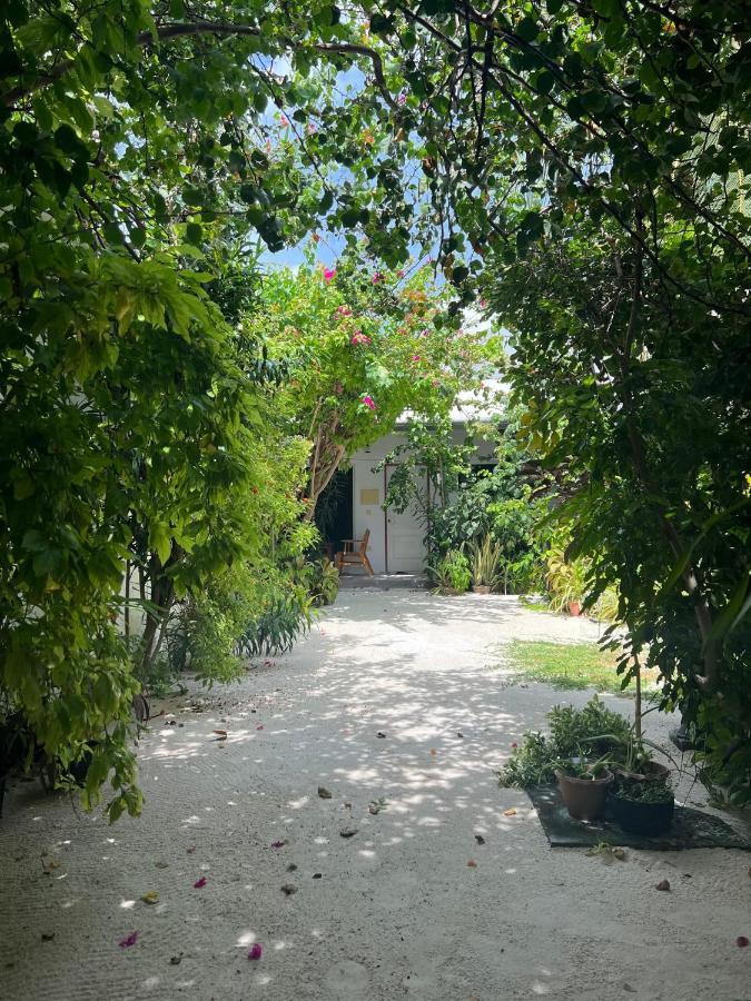 Lagoon Villa Maldives Тодду Экстерьер фото