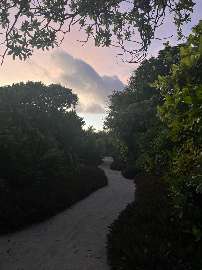 Lagoon Villa Maldives Тодду Экстерьер фото
