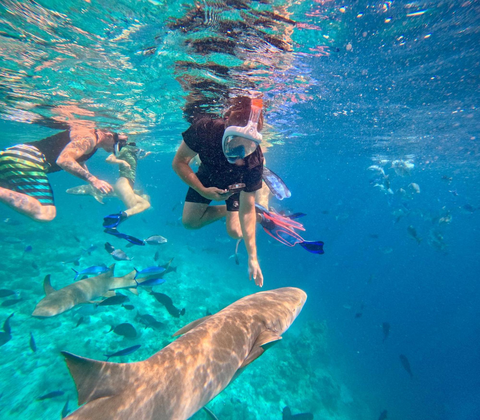 Lagoon Villa Maldives Тодду Экстерьер фото