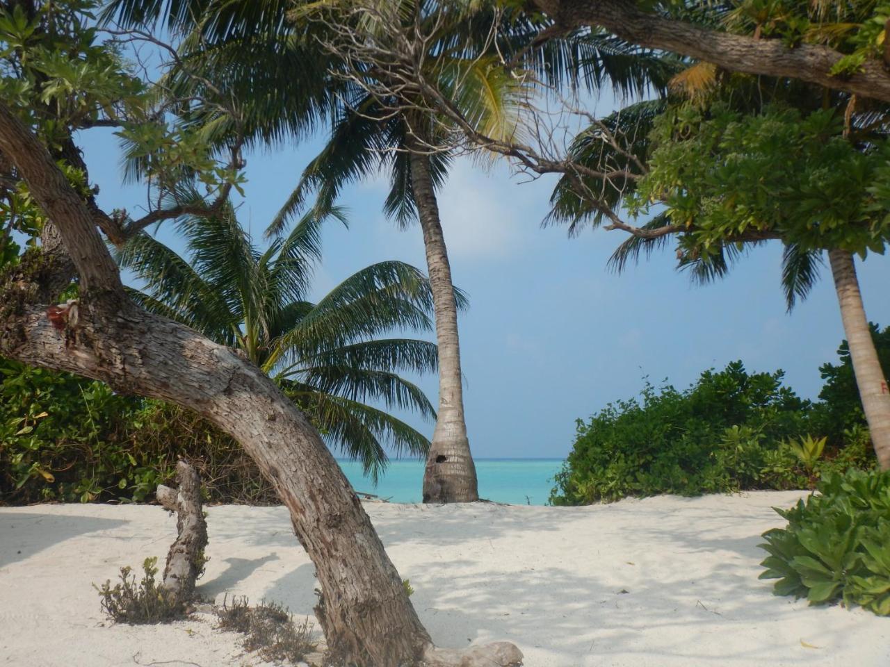 Lagoon Villa Maldives Тодду Экстерьер фото